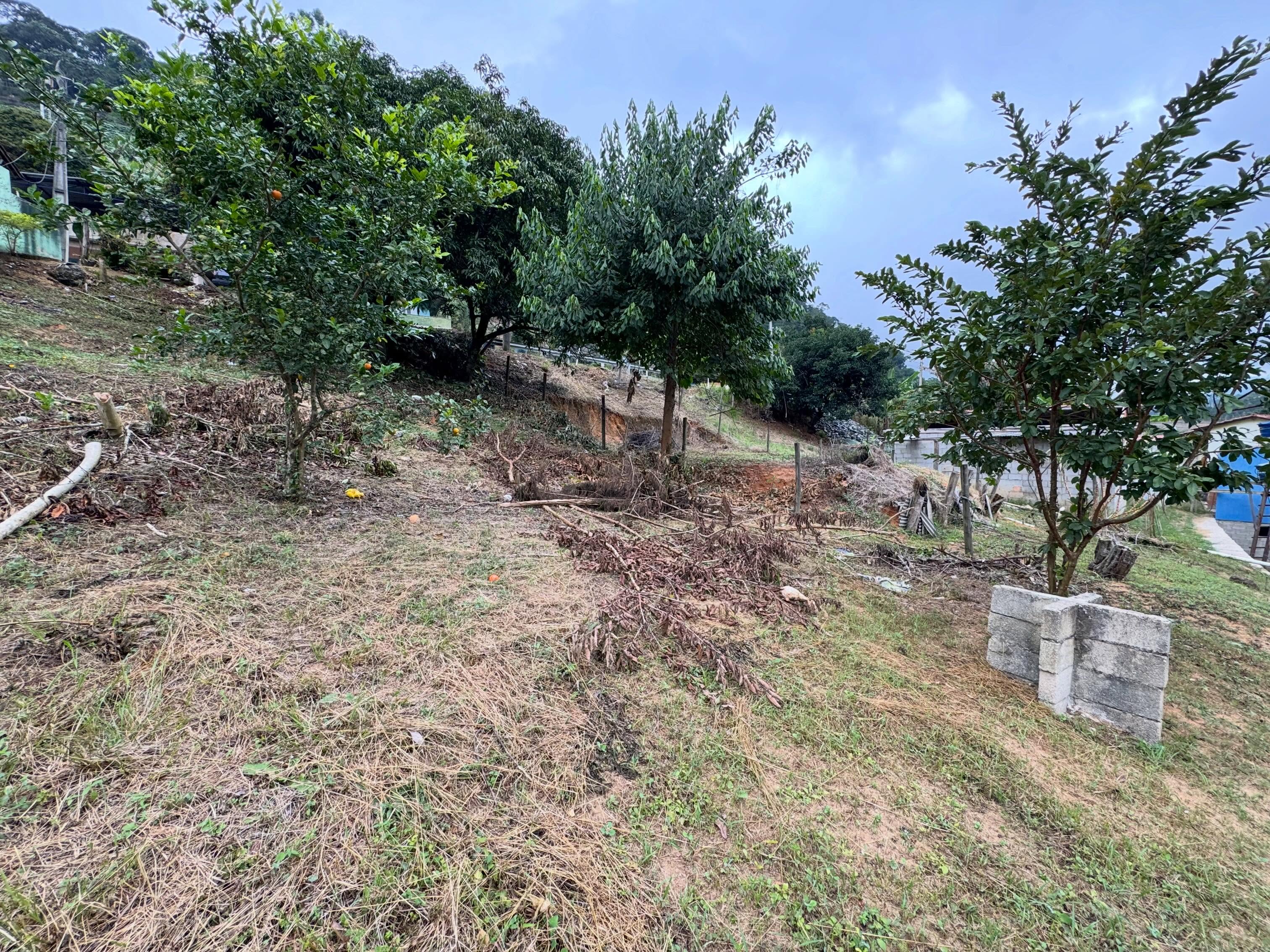 LOTE DISPONÍVEL PARA VENDA