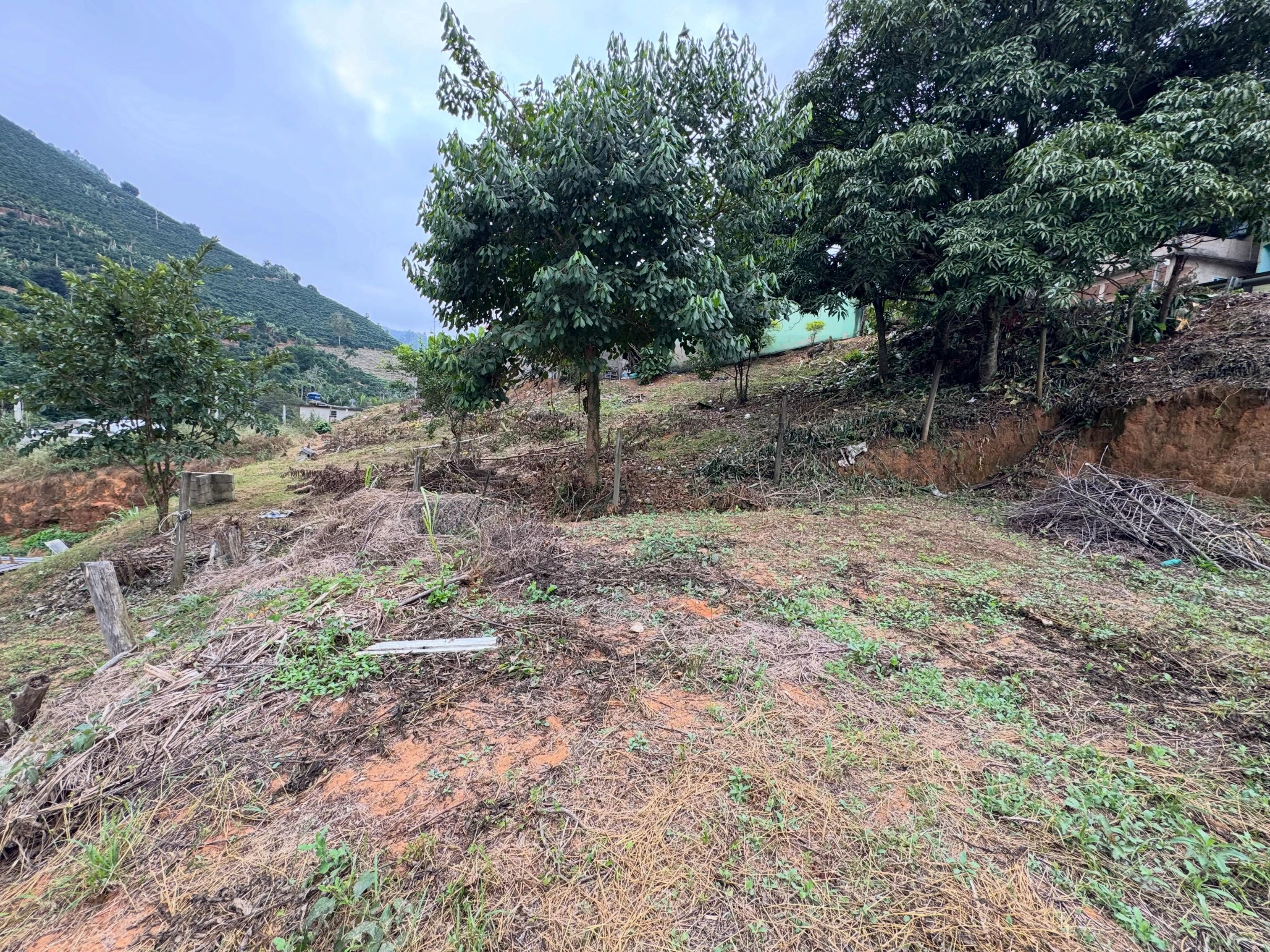 LOTE DISPONÍVEL PARA VENDA