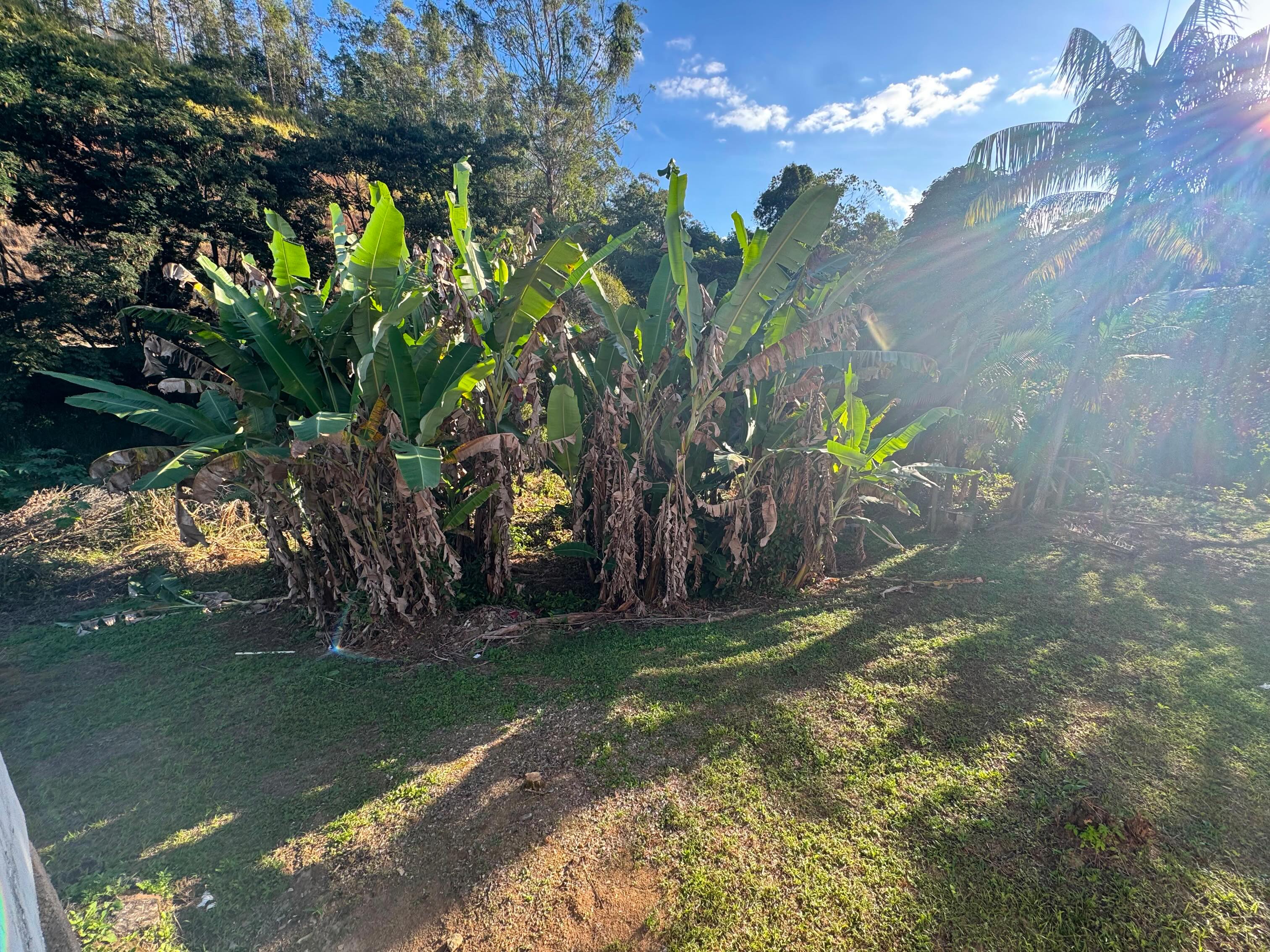CASA DISPONÍVEL PARA VENDA