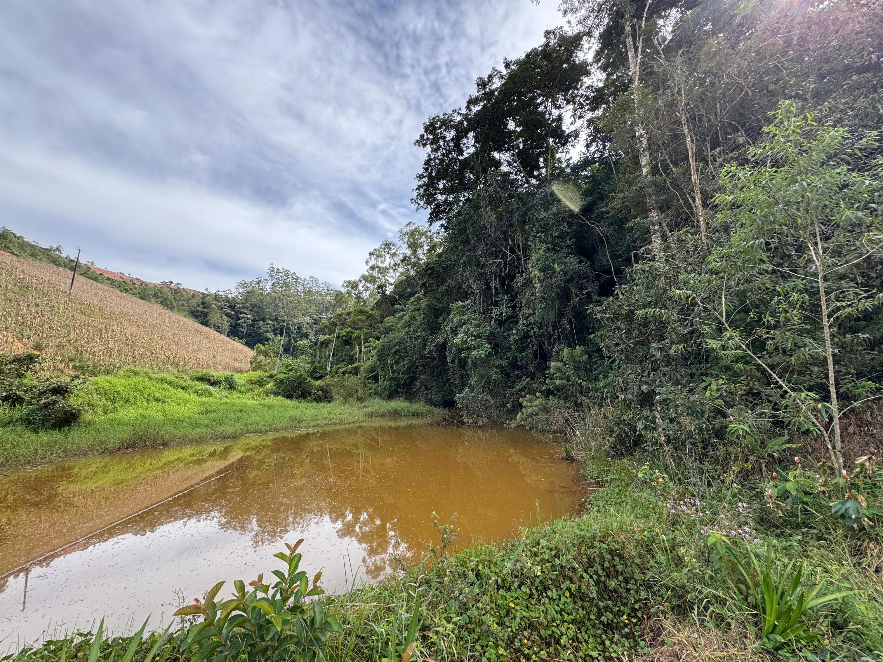 PROPRIEDADE DISPONÍVEL PARA VENDA