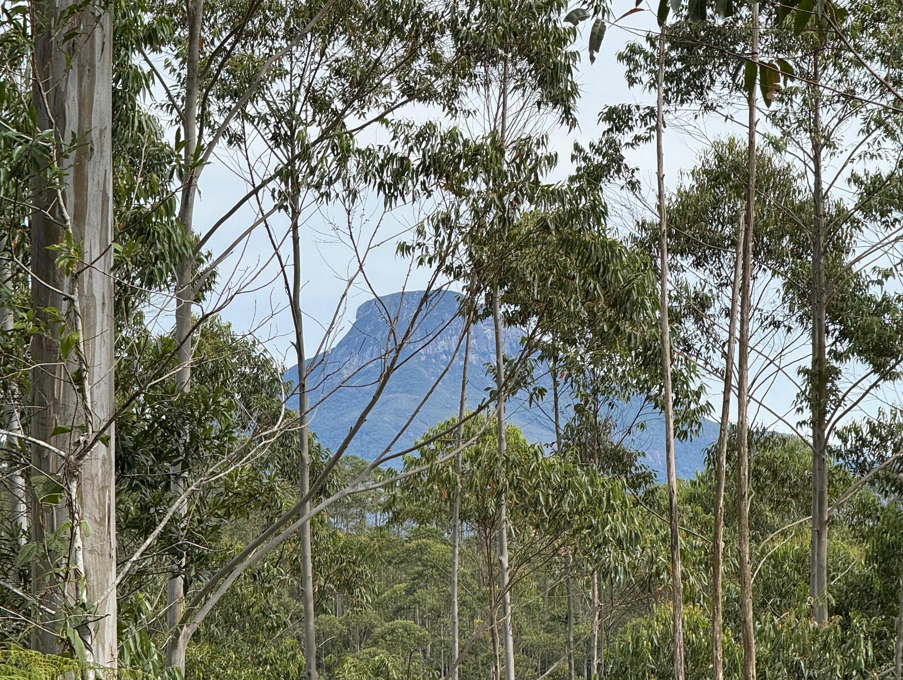 PROPRIEDADE DISPONÍVEL PARA VENDA