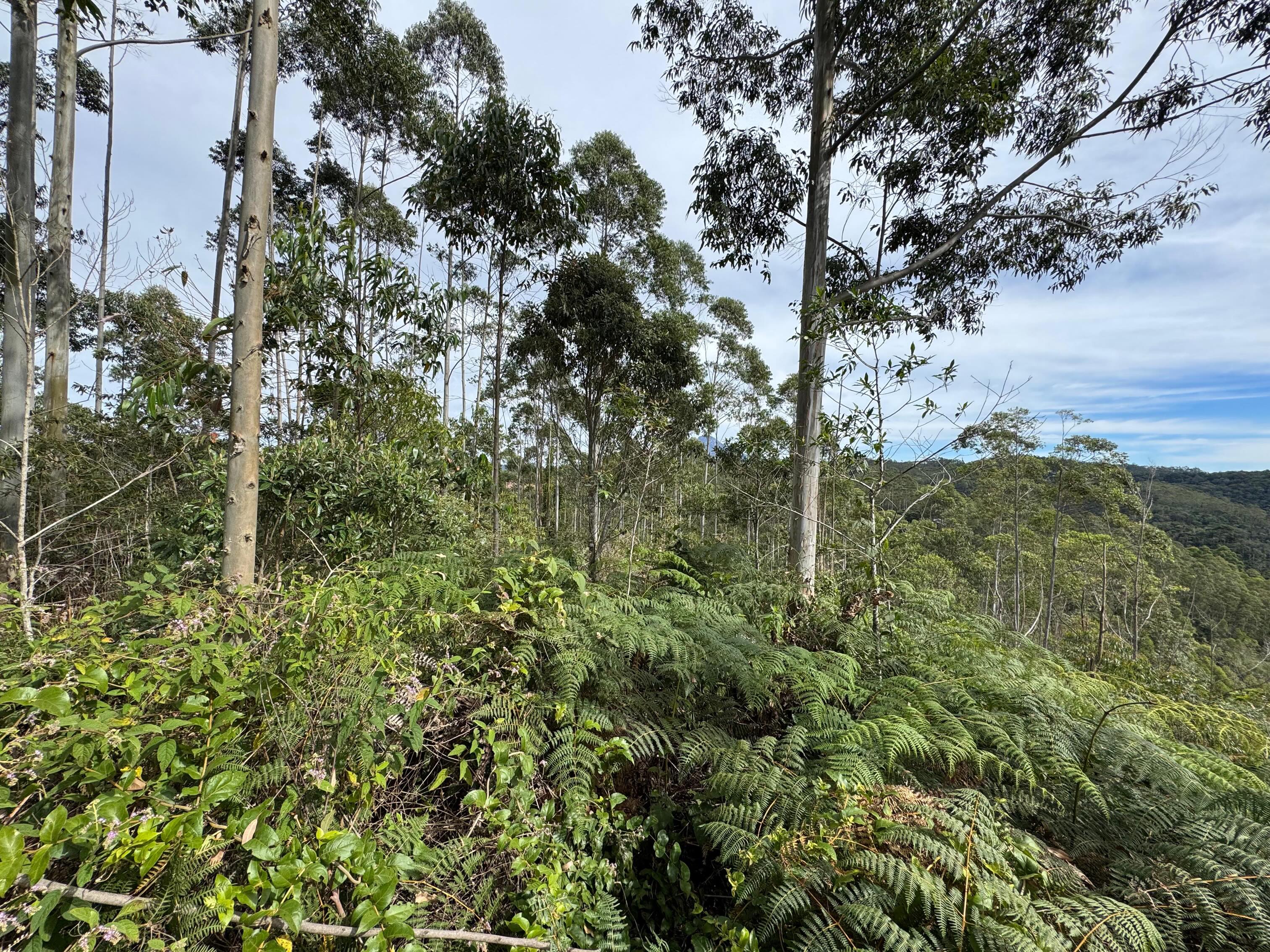 PROPRIEDADE DISPONÍVEL PARA VENDA