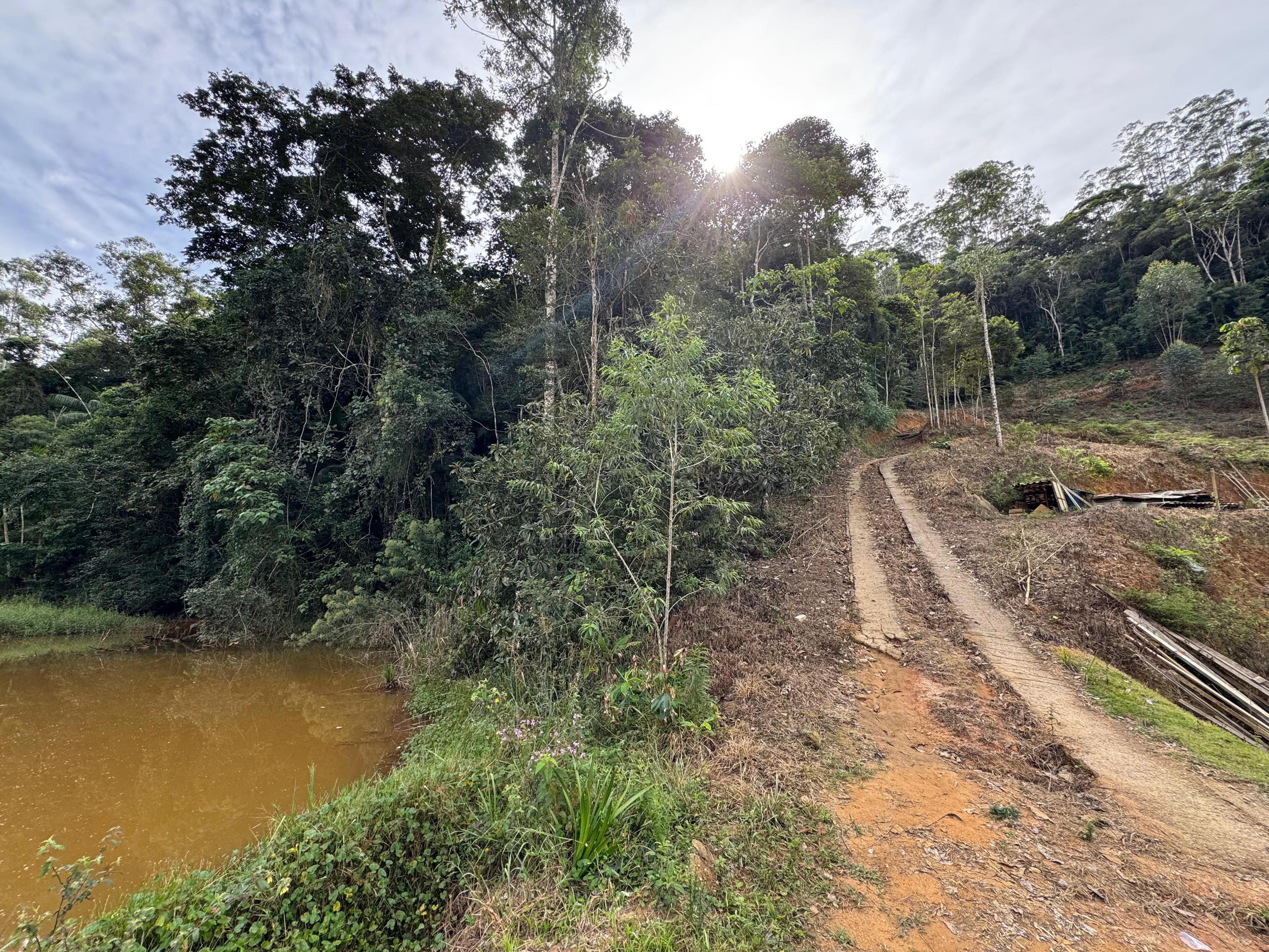PROPRIEDADE DISPONÍVEL PARA VENDA