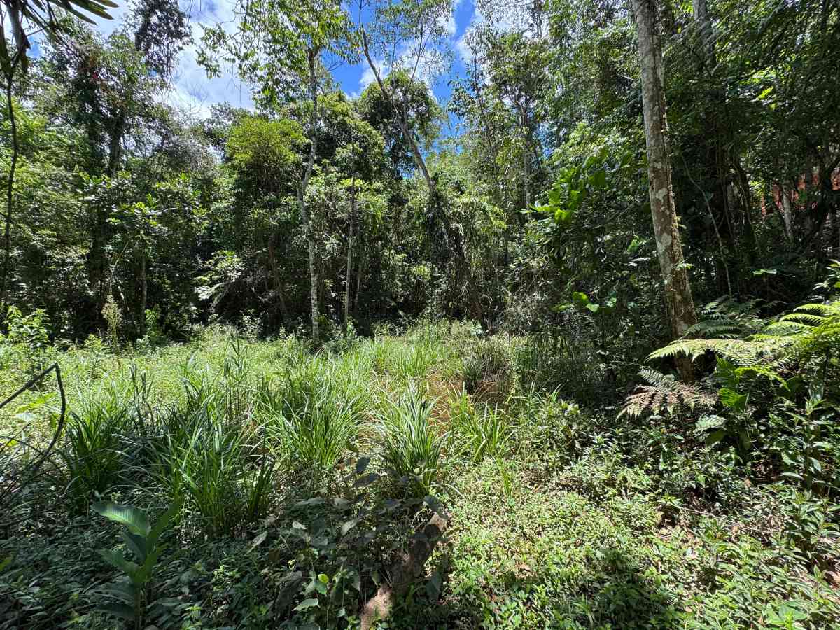 ÁREAS PARA CHÁCARAS