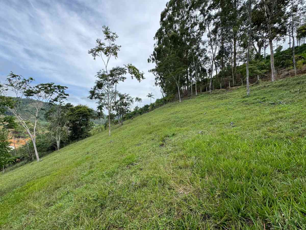 ÁREA PARA CHÁCARAS