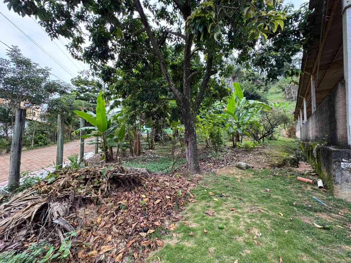 ESTABELECIMENTO COMERCIAL