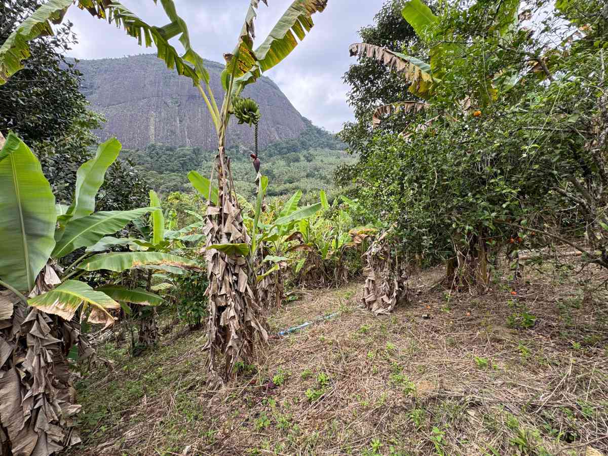 CHÁCARA RESIDENCIAL