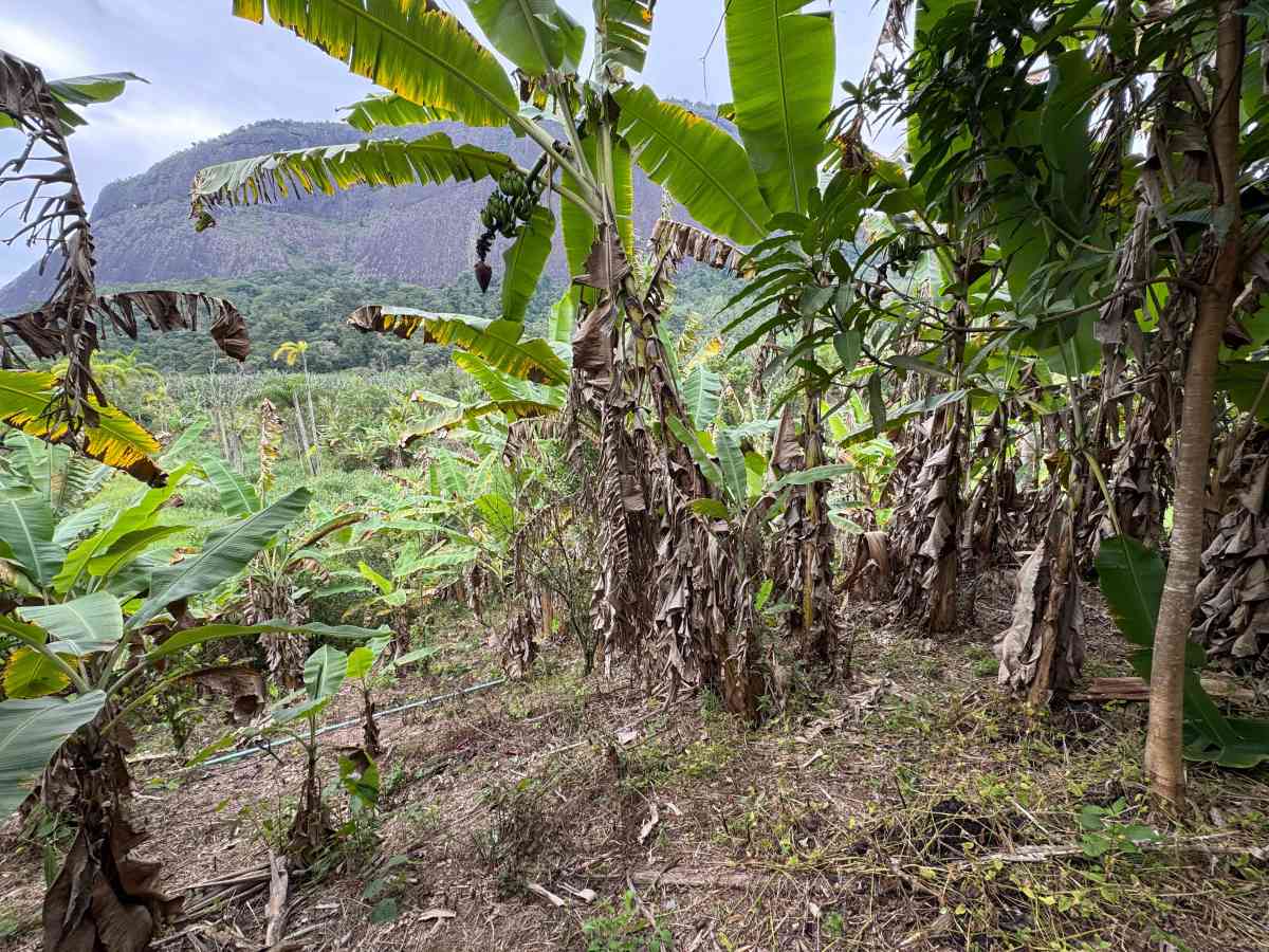 CHÁCARA RESIDENCIAL